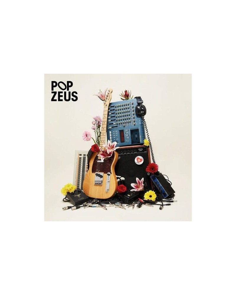 Pop Zeus THIS DOESN'T FEEL LIKE HOME (UNRELEASED DEMOS 2011 Vinyl Record $5.45 Vinyl